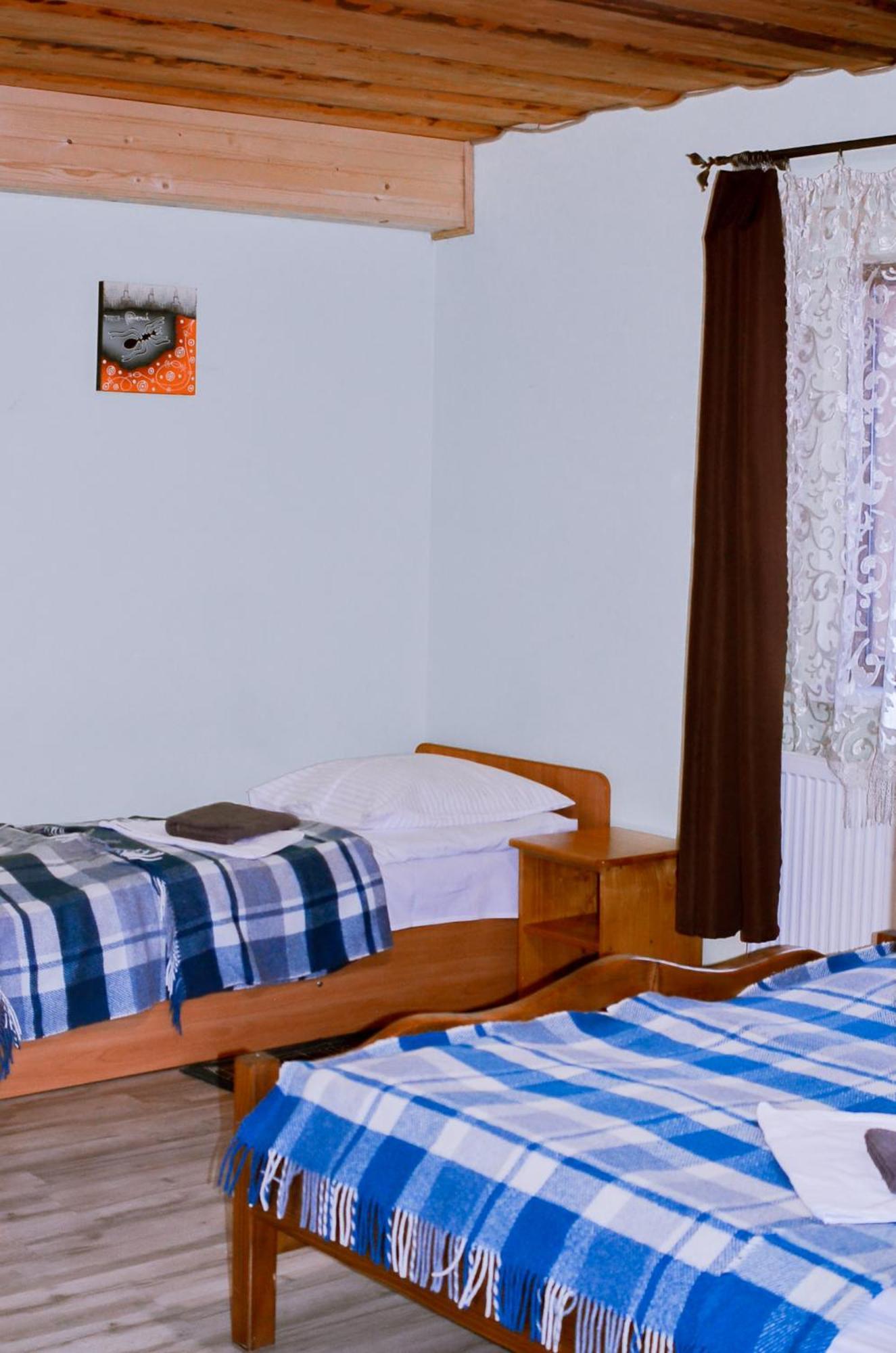 Guest House Mandrivnyi Rooms&Apartments Jasiňa Exteriér fotografie